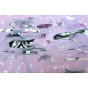 Fishes in Pink de The Catman, dessin 