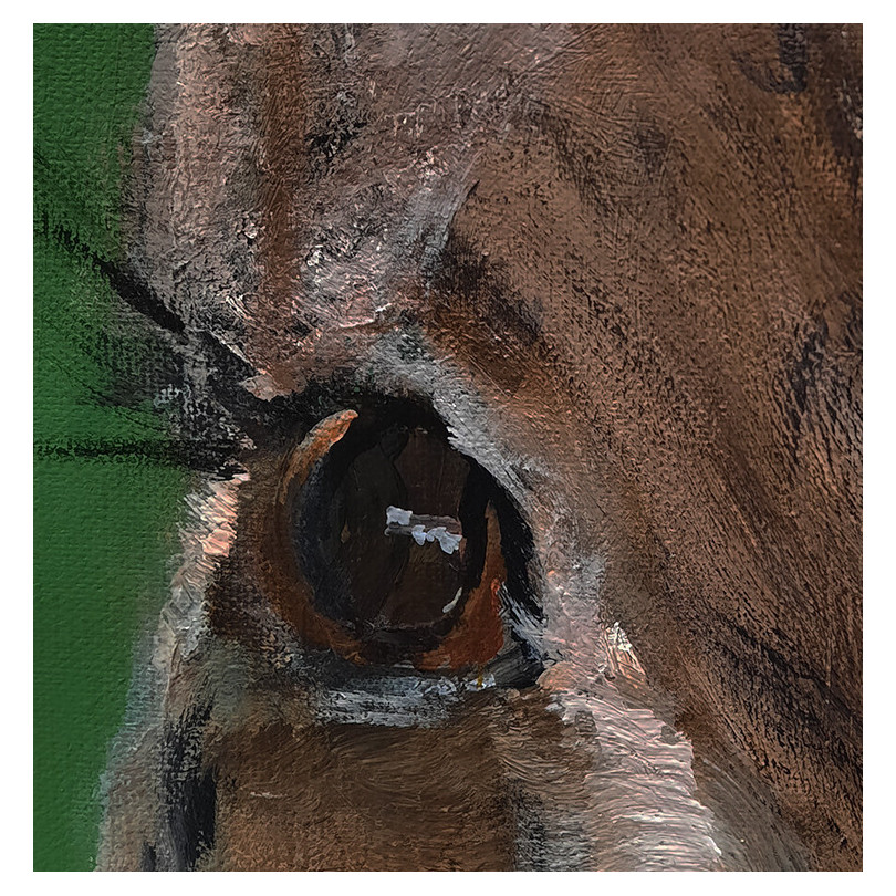 HARE pintura, retrato de liebre pintado por Marike Koot