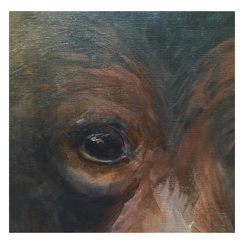 BROWN BEAR tableau, portrait d'ours par Marike Koot