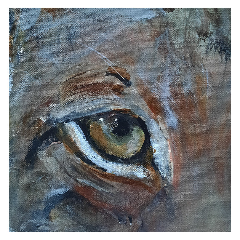 LINCE pintura, retrato de Lynx de Marike Koot