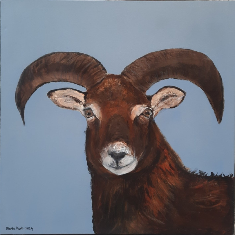 Peinture portrait de mouflon de Marike Koot