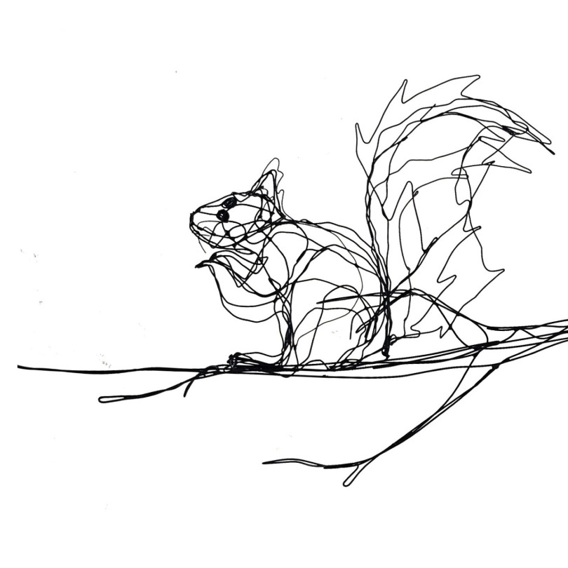 SQUIRREL black wire sculpture. One-off piece