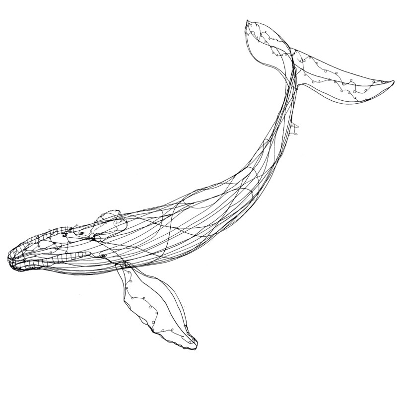 Large whale wire sculpture. One-off piece