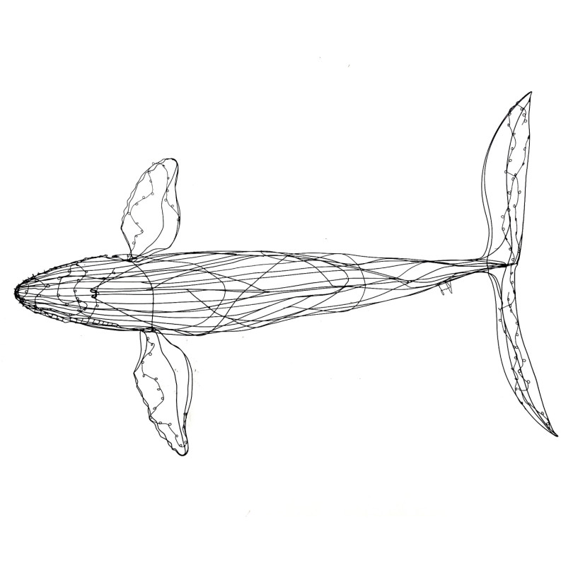 Large whale wire sculpture. One-off piece