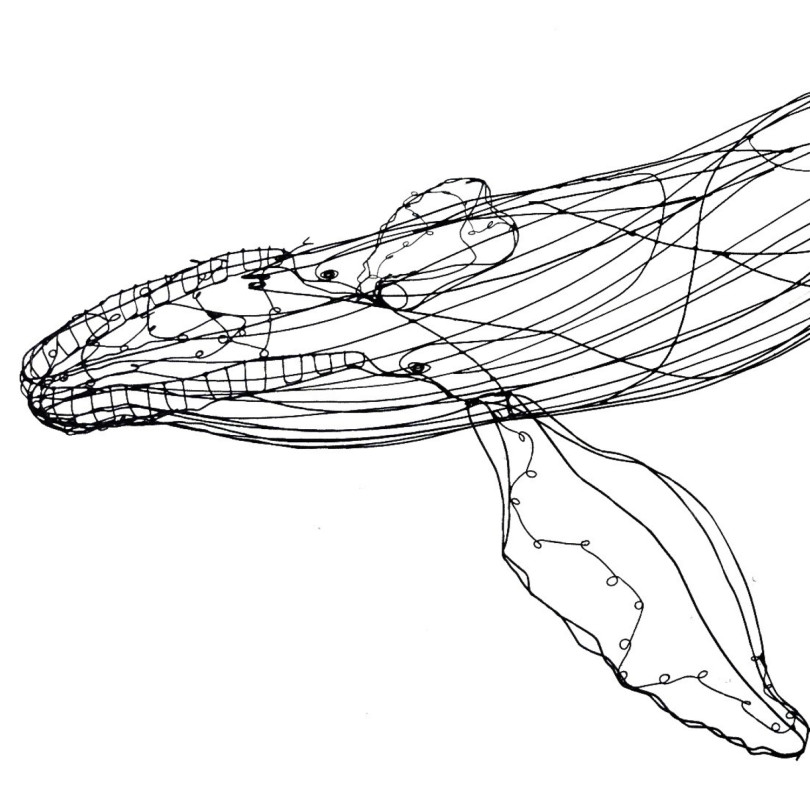 Large whale wire sculpture. One-off piece