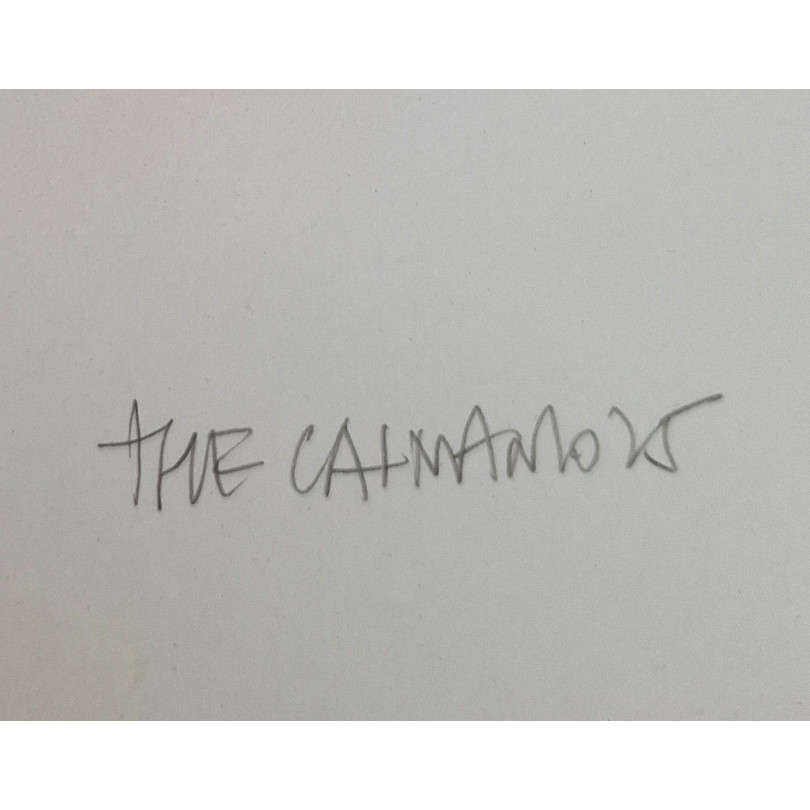 Dibujo de grande formato del artista español The Catman. Pieza única
