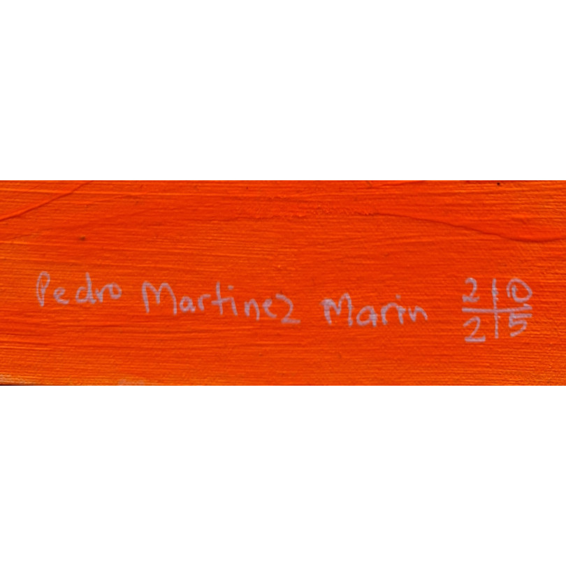 Obra de arte inspirada por la naturaleza del artista Pedro Martinez Marín (o Mainman)