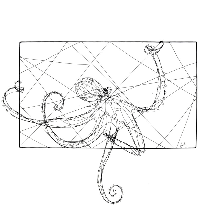 Escultura Pulpo enmarcado en alambre