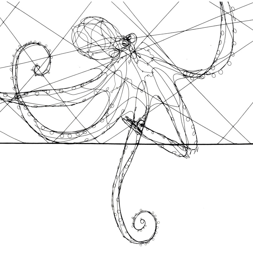 Escultura Pulpo enmarcado en alambre