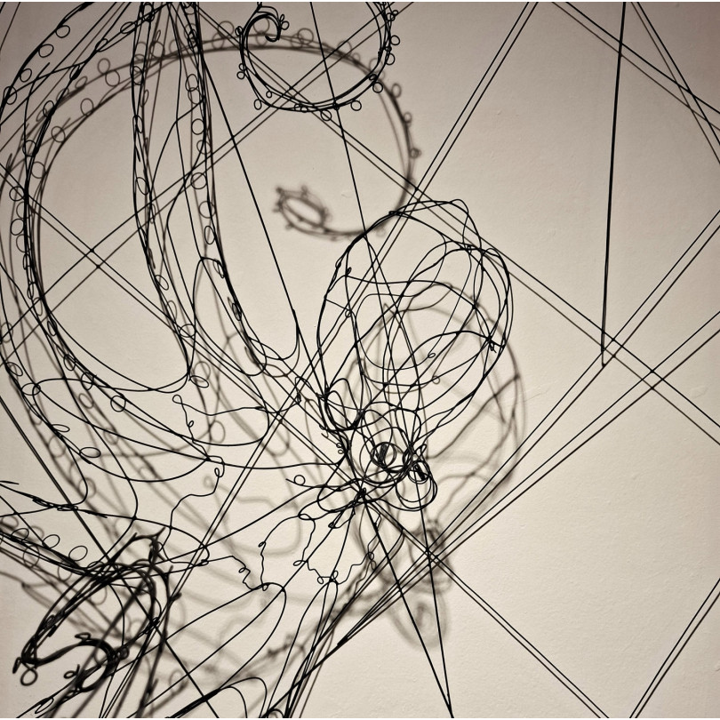 Escultura Pulpo enmarcado en alambre