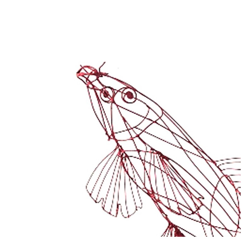Red carp fish sculpture in red painted steel wire.Unique piece