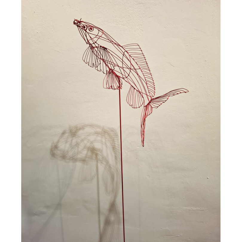 Red carp fish sculpture in red painted steel wire.Unique piece