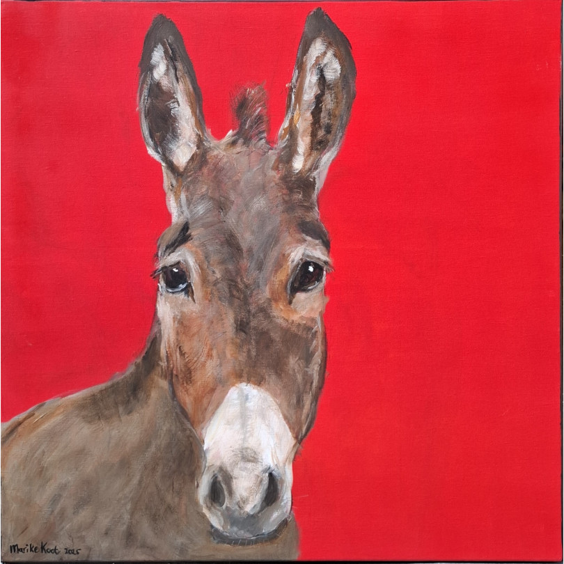 Retrato de asno sobre fondo rojo. Obra de Marike Koot