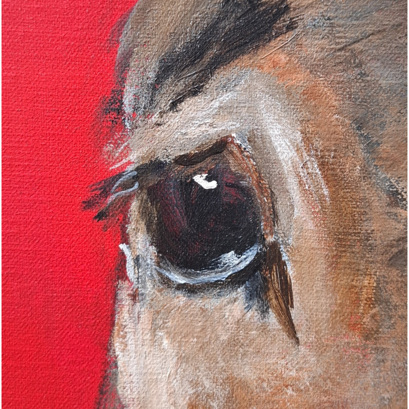 Retrato de asno sobre fondo rojo. Obra de Marike Koot