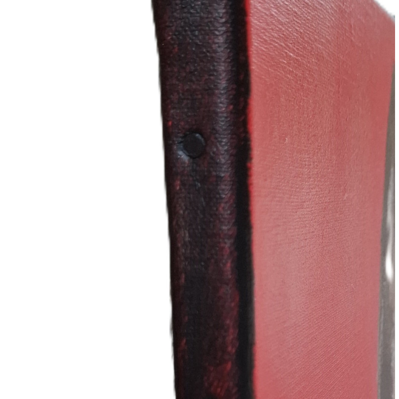 Retrato de asno sobre fondo rojo. Obra de Marike Koot