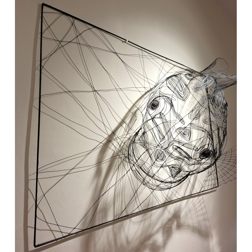 Sculpture de poisson ciclidé en fil de fer, émergent de son cadre d'acier