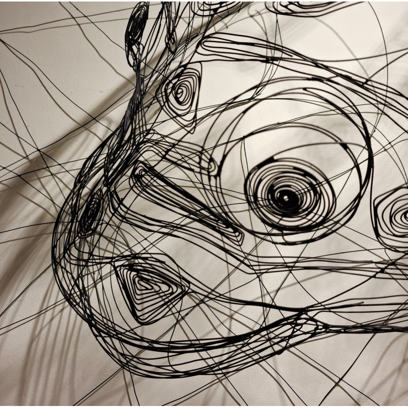 Cichlid fish emerging from a welded wire frame