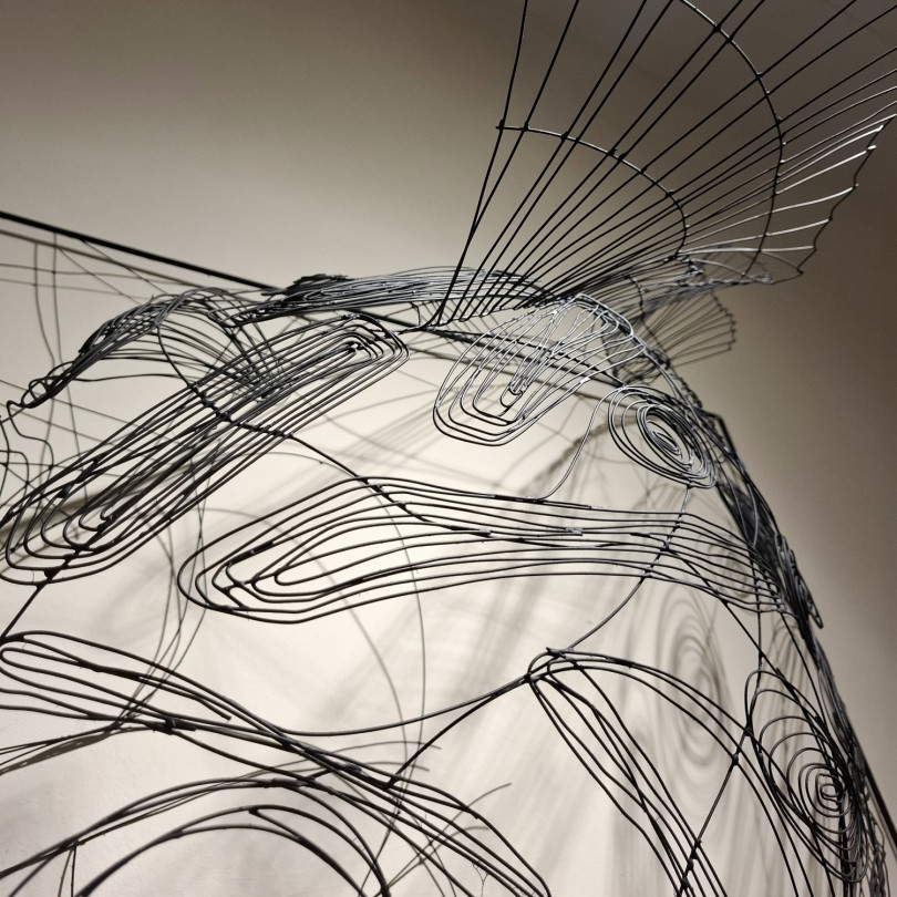 Escultura de pez ciclido en alambre soldado, saliendo de su marco