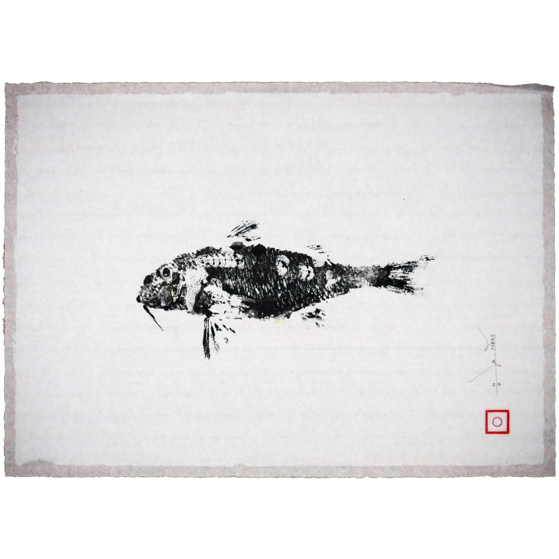 Cuadro - Gyotaku, impresión de pez salmonette, tinta negra sobre papel
