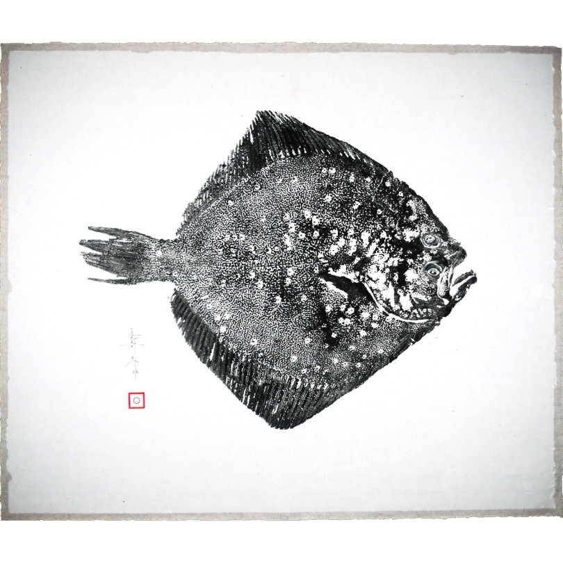 RODABALLO gyotaku