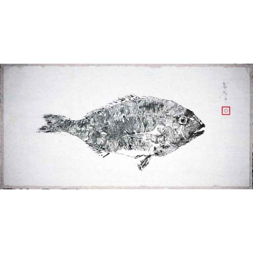 Cuadro Gyotaku, impresíon de un pez - Dorada, sobre papel