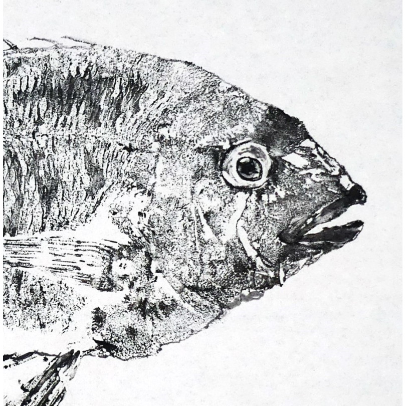 Cuadro Gyotaku, impresíon de un pez - Dorada, sobre papel