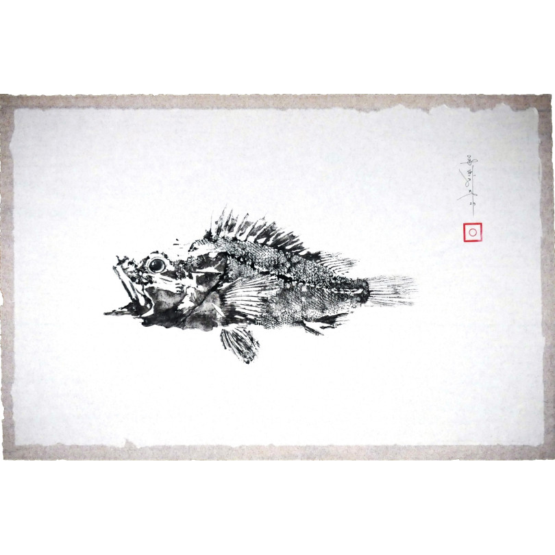 Tableau Gyotaku original : empreinte d'une rascasse à l'encre noire sur papier.