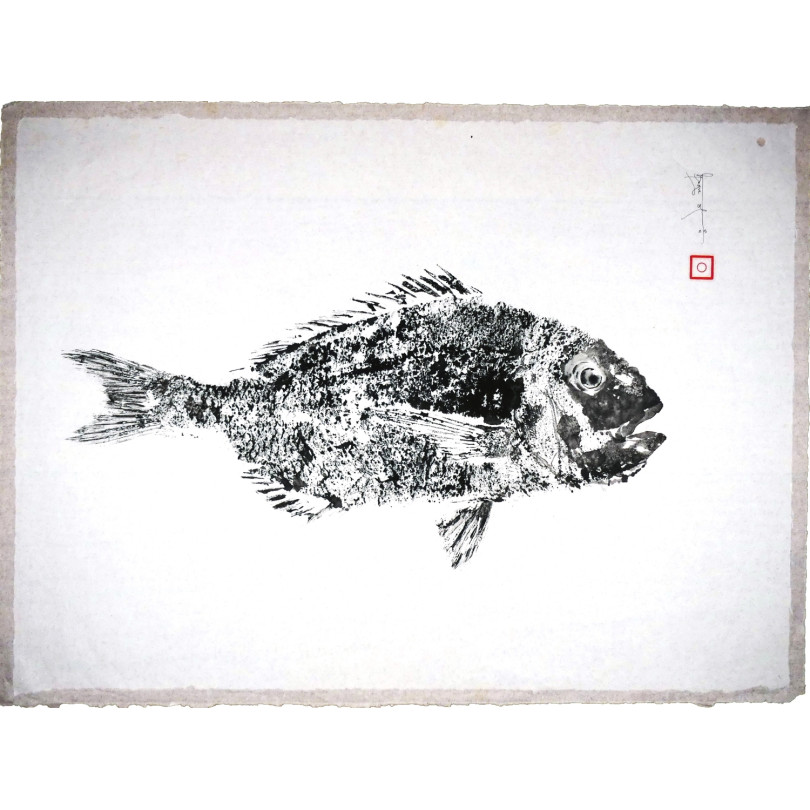 Tableau Gyotaku original : empreinte d'un pagre rouge à l'encre noire sur papier