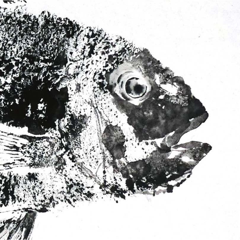 Cuadro Gyotaku - impresión de un pargo en tinta negra sobre papel