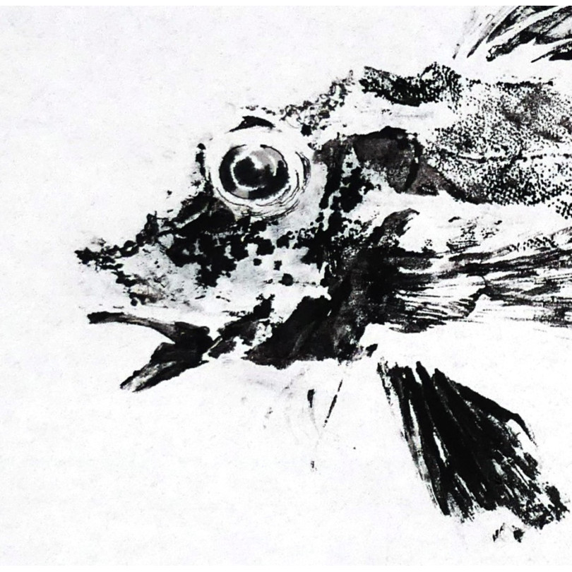 Cuadro Gyotaku - impresión de una lluerna en tinta negra sobre papel