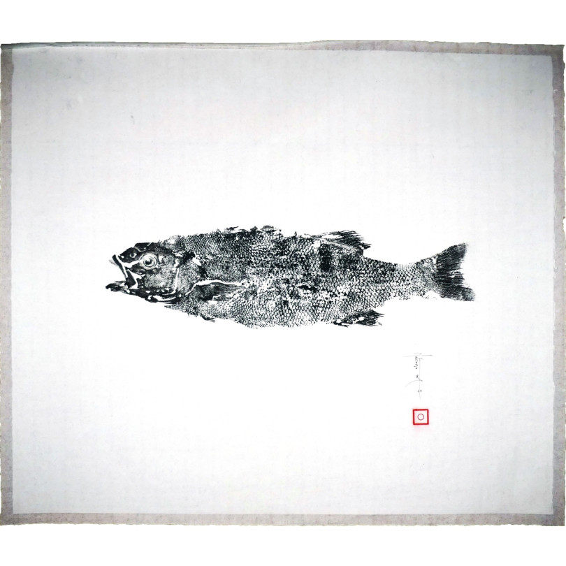 Original gyotaku artwork: print of a seabass in black ink on paper