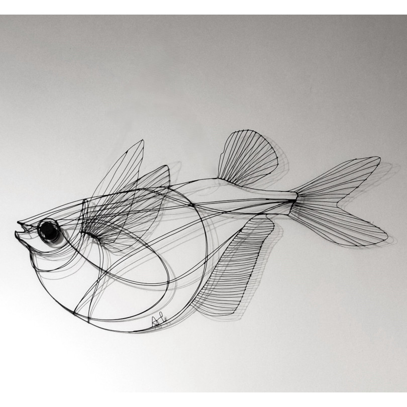 Hatchetfish sculpture in welded steel wire