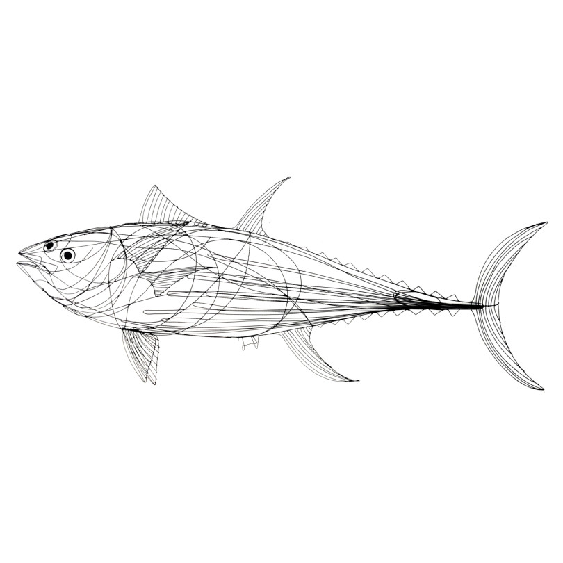 Tunafish sculpture in welded steel wire