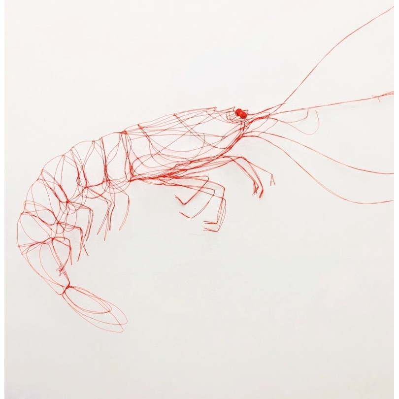 Large Red Shrimp wire sculpture, unique piece