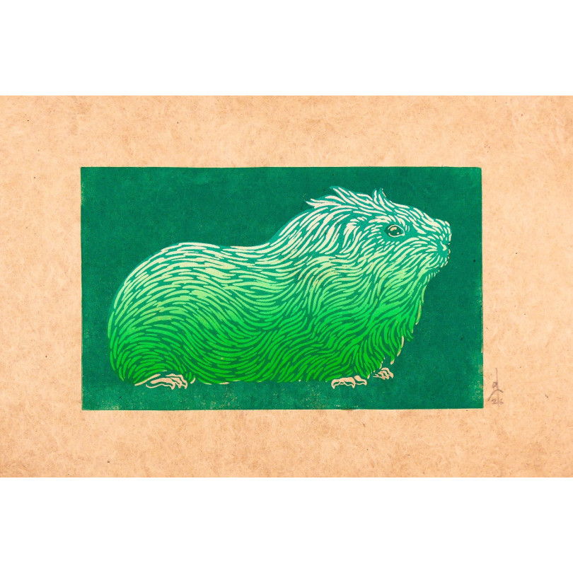 Gravure représentant un cochon d'inde dans camaieu de vert