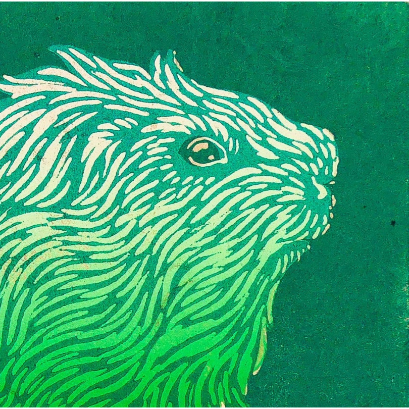 Engraving Guinea Pig in a shades of green